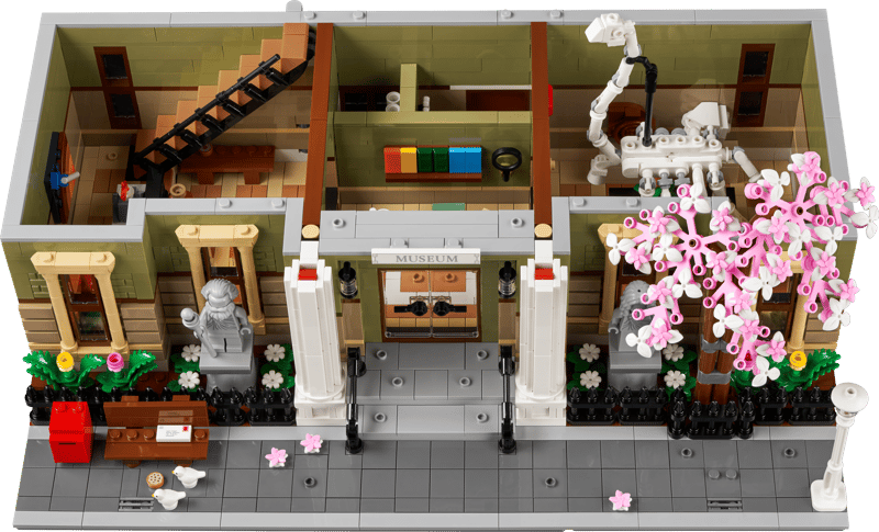 Natural History Museum Display Model - 10326