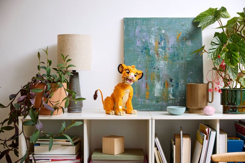 Young Lion Collector Display Model - 43247