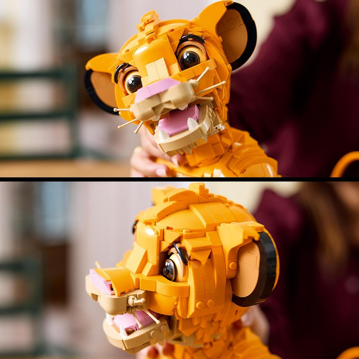 Young Lion Collector Display Model - 43247